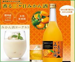 三ヶ日みかん酒バナー